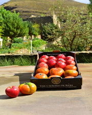 Caja mixta manzanas y tomates de calidad para compra online